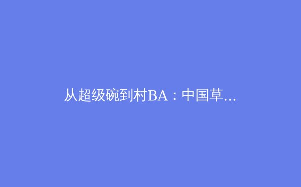 从超级碗到村BA：中国草根体育的商业潜力与文化新叙事 - 3